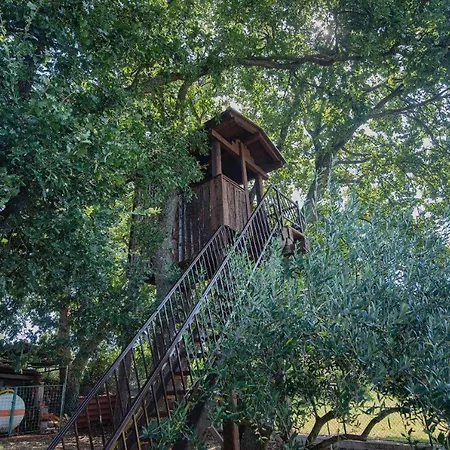 公寓 Stars And Olives Retreat Valtura